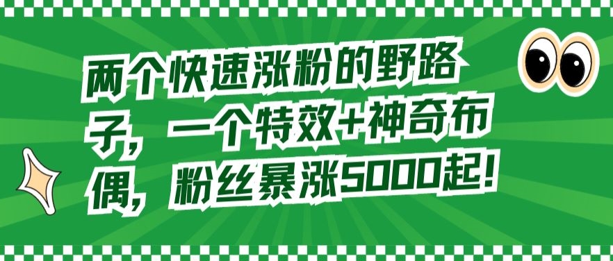 两个快速涨粉的野路子，一个特效+神奇布偶，粉丝暴涨5000起-副业城