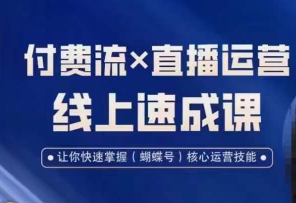 视频号付费流实操课程，付费流✖️直播运营速成课，让你快速掌握视频号核心运营技能-副业城