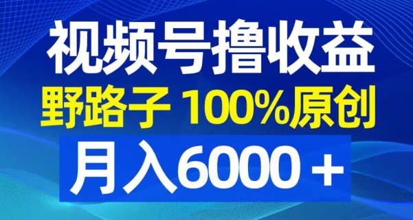 视频号野路子撸收益，100%原创，条条爆款，月入6000＋-副业城