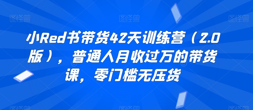 小Red书带货42天训练营（2.0版），普通人月收过万的带货课，零门槛无压货-副业城