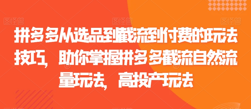 拼多多从选品到截流到付费的玩法技巧，助你掌握拼多多截流自然流量玩法，高投产玩法-副业城