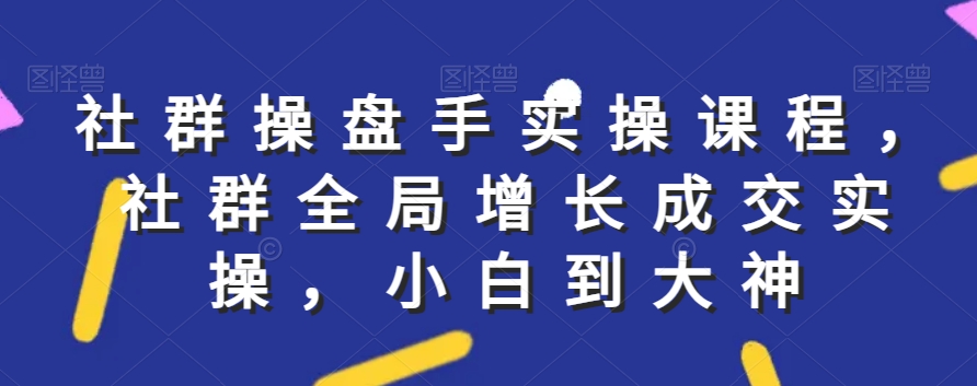 社群实操课程，社群全局增长成交实操，小白到大神-副业城