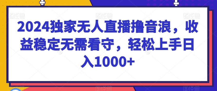2024独家无人直播撸音浪，收益稳定无需看守，轻松上手日入1000+-副业城