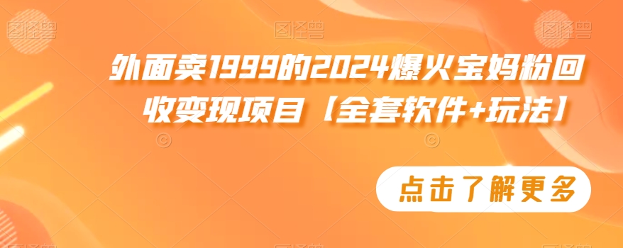 外面卖1999的2024爆火宝妈粉回收变现项目【全套软件+玩法】-副业城