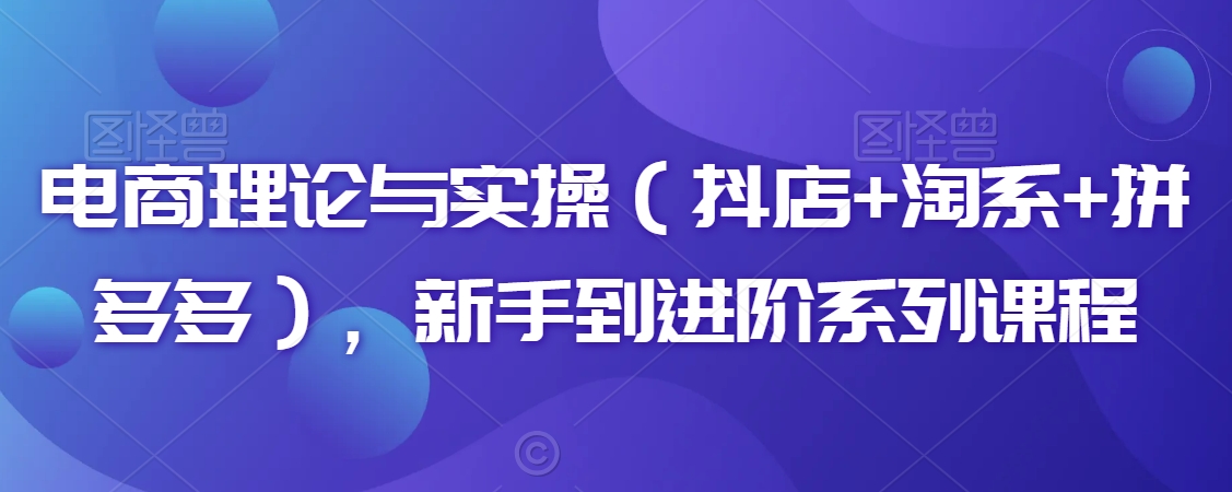 电商理论与实操（抖店+淘系+拼多多），新手到进阶系列课程-副业城