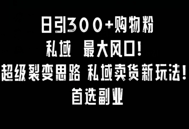 日引300+购物粉，超级裂变思路，私域卖货新玩法，小红书首选副业-副业城