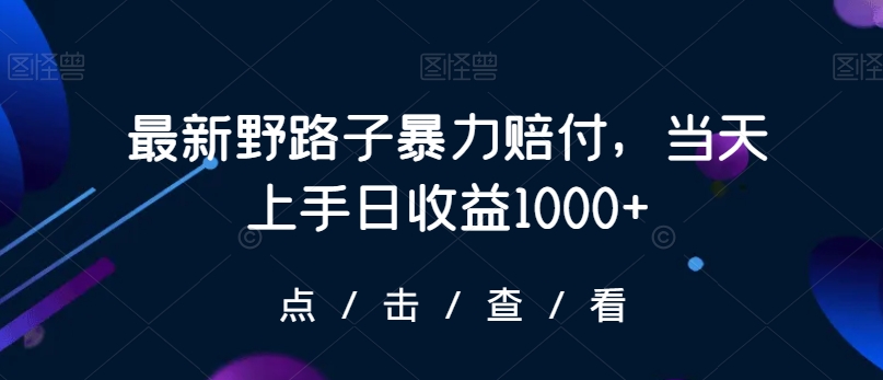 最新野路子暴力赔付，当天上手日收益1000+【仅揭秘】-副业城