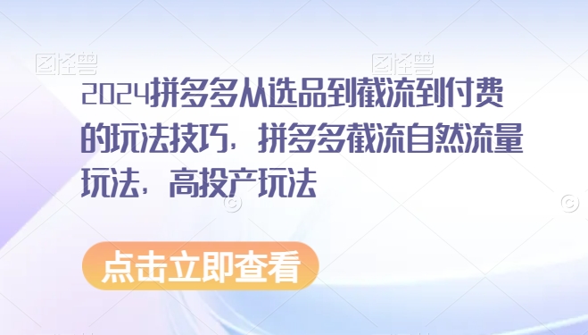 2024拼多多从选品到截流到付费的玩法技巧，拼多多截流自然流量玩法，高投产玩法-副业城