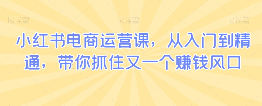 小红书电商运营课，从入门到精通，带你抓住又一个赚钱风口-副业城