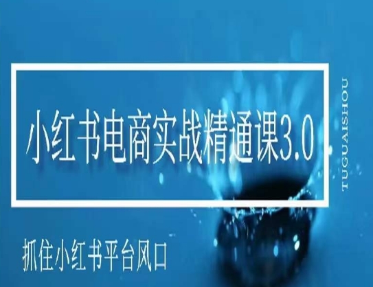 小红书电商实战精通课3.0，抓住小红书平台的风口，不错过有一个赚钱的机会-副业城