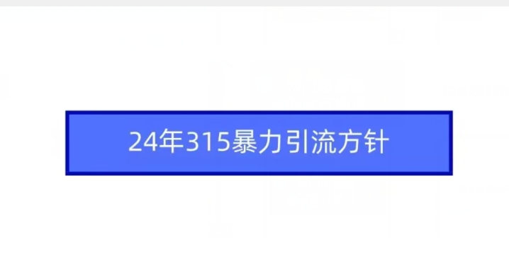 24年315暴力引流方针-副业城