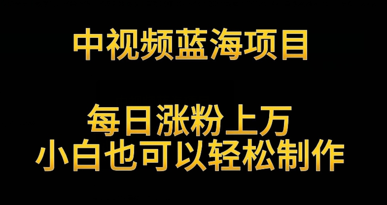 中视频蓝海项目，解读英雄人物生平，每日涨粉上万，小白也可以轻松制作，月入过万不是梦-副业城