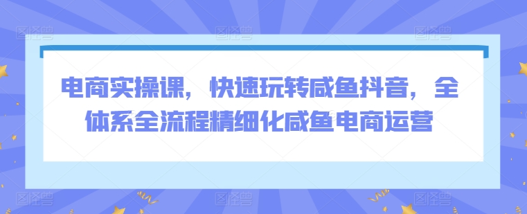 电商实操课，快速玩转咸鱼抖音，全体系全流程精细化咸鱼电商运营-副业城