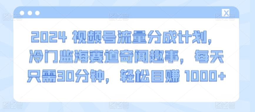 2024视频号流量分成计划，冷门监海赛道奇闻趣事，每天只需30分钟，轻松目赚 1000+-副业城