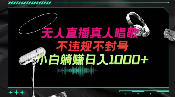 抖音24小时无人直播音乐，不违规，不封号纯撸音浪，小白实操当天日入1000+-副业城