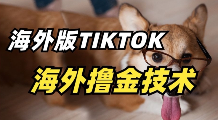 抖音海外版tiktok撸金技术，这个风口行业，赚钱真的不难-副业城