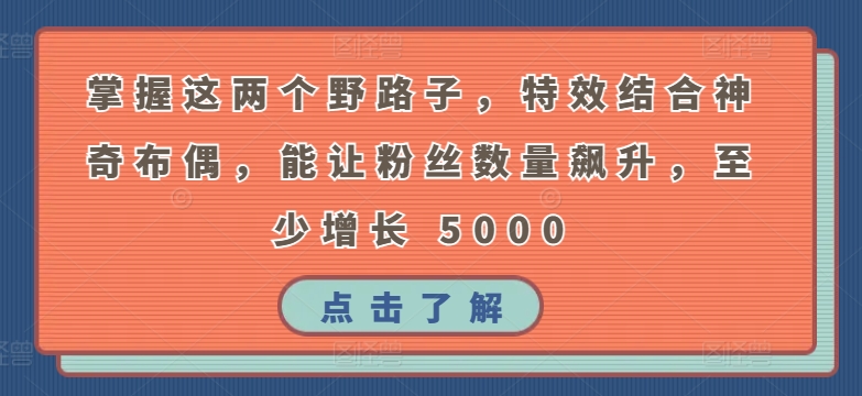 掌握这两个野路子，特效结合神奇布偶，能让粉丝数量飙升，至少增长 5000-副业城