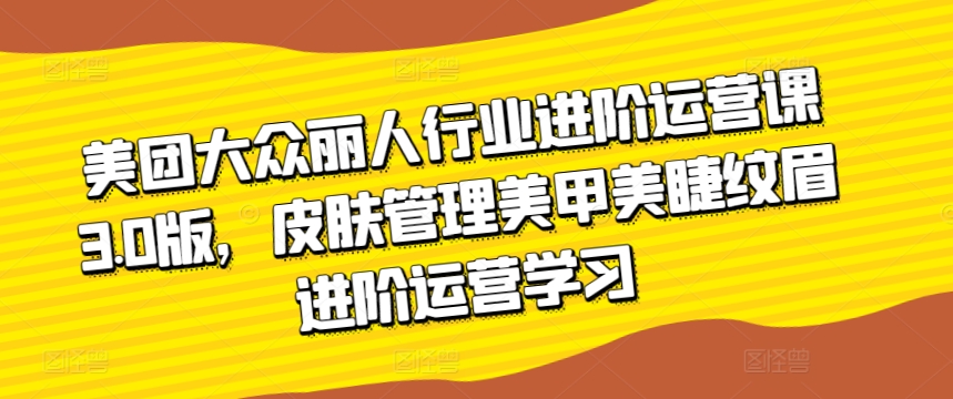 美团大众丽人行业进阶运营课3.0版，皮肤管理美甲美睫纹眉进阶运营学习-副业城