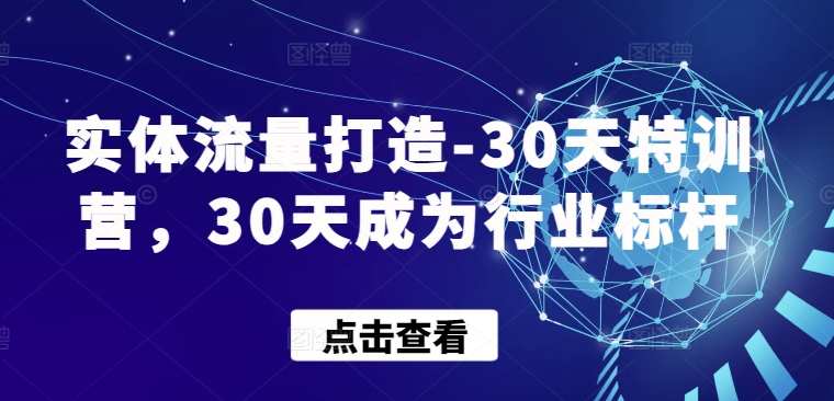 实体流量打造-30天特训营，30天成为行业标杆-副业城