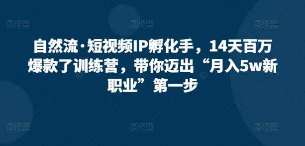 自然流·短视频IP孵化手，14天百万爆款了训练营，带你迈出“月入5w新职业”第一步-副业城