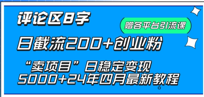 抖音评论区8字日截流200+创业粉 “卖项目”日稳定变现5000+-副业城