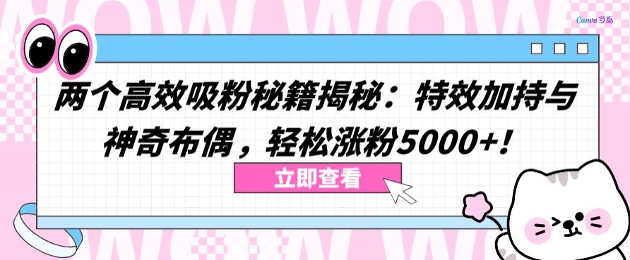 两个高效吸粉秘籍揭秘：特效加持与神奇布偶，轻松涨粉5000+-副业城