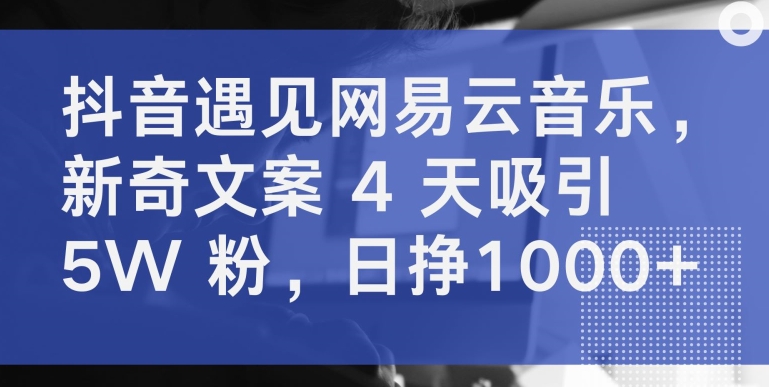 抖音遇见网易云音乐，新奇文案 4 天吸引 5W 粉，日挣1000+-副业城