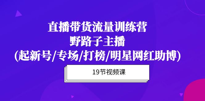 （10016期）直播带货流量特训营，野路子主播(起新号/专场/打榜/明星网红助博)19节课-副业城