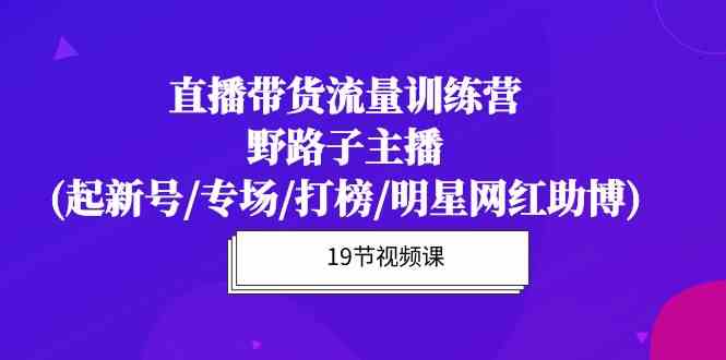 直播带货流量特训营，野路子主播(起新号/专场/打榜/明星网红助博)-副业城