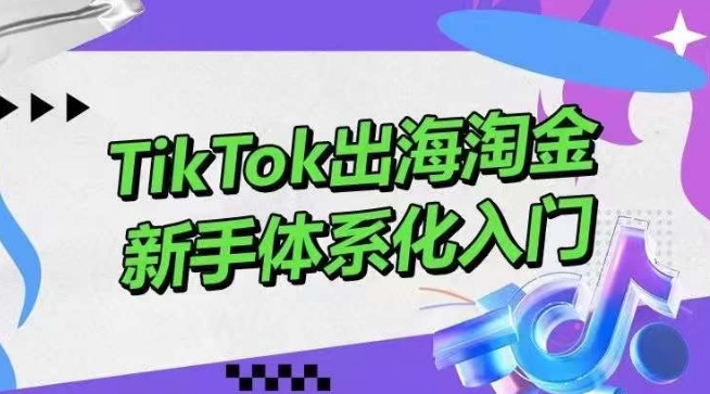 TikTok出海淘金，新手体系化入门，零基础快速入门，掌握短视频、直播带货等引流到变现的知识-副业城