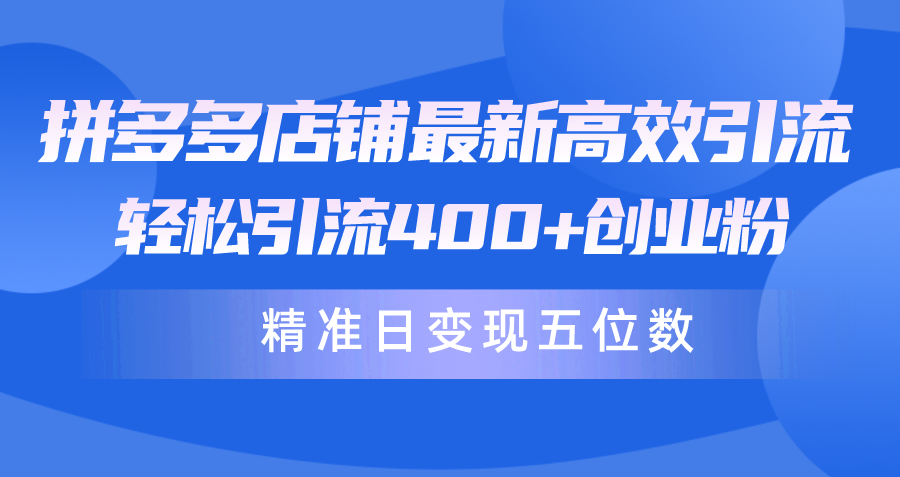 （10041期）拼多多店铺最新高效引流术，轻松引流400+创业粉，精准日变现五位数！-副业城