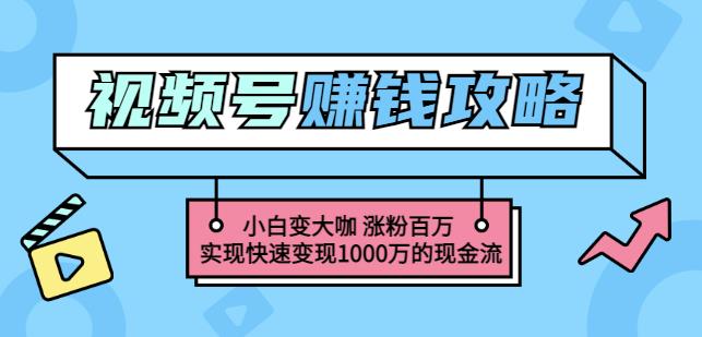 玩转微信视频号赚钱：小白变大咖涨粉百万实现快速变现1000万的现金流-副业城