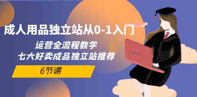 成人用品独立站从0-1入门，运营全流程教学，七大好卖成品独立站推荐（6节课）-副业城