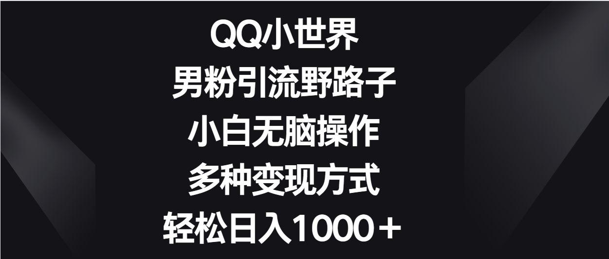 QQ小世界男粉引流野路子，小白无脑操作，多种变现方式轻松日入1000＋-副业城