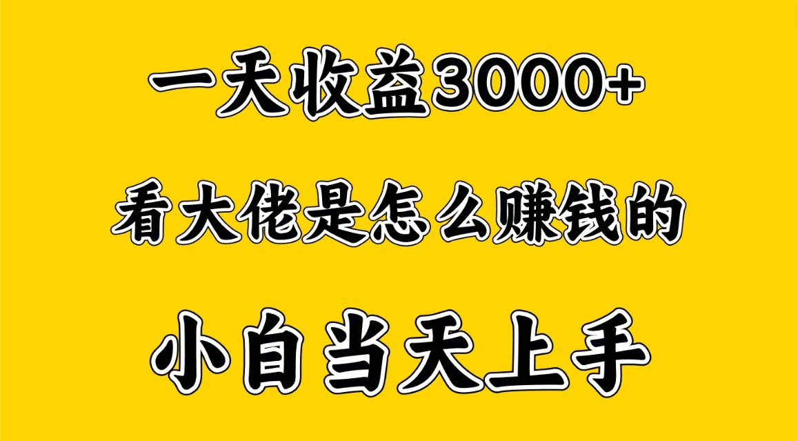 一天赚3000多，大佬是这样赚到钱的，小白当天上手，穷人翻身项目-副业城