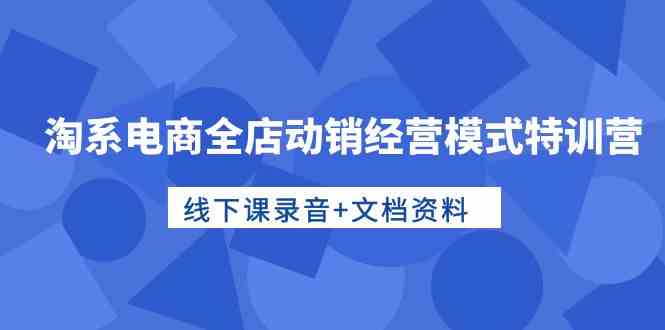 淘系电商全店动销经营模式特训营，线下课录音+文档资料-副业城