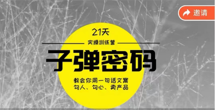 《子弹密码训练营》用一句话文案勾人勾心卖产品，21天学到顶尖文案大师策略和技巧-副业城