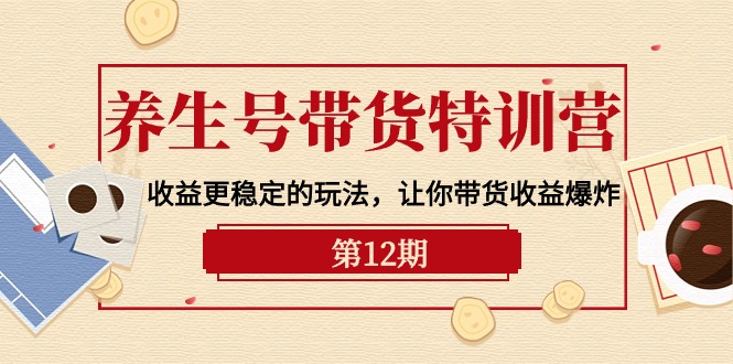 （10110期）养生号带货特训营【12期】收益更稳定的玩法，让你带货收益爆炸-9节直播课-副业城