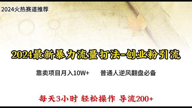 （10151期）2024年最新暴力流量打法，每日导入300+，靠卖项目月入10W+-副业城