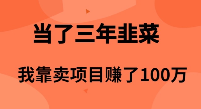 （10149期）当了3年韭菜，我靠卖项目赚了100万-副业城