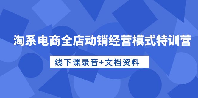 （10192期）淘系电商全店动销经营模式特训营，线下课录音+文档资料-副业城