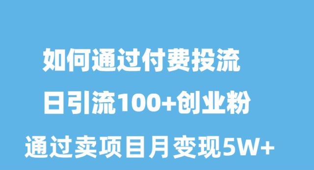 （10189期）如何通过付费投流日引流100+创业粉月变现5W+-副业城