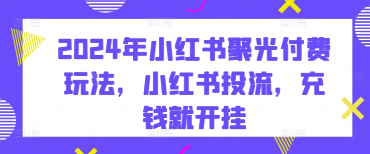 2024年小红书聚光付费玩法，小红书投流，充钱就开挂-副业城