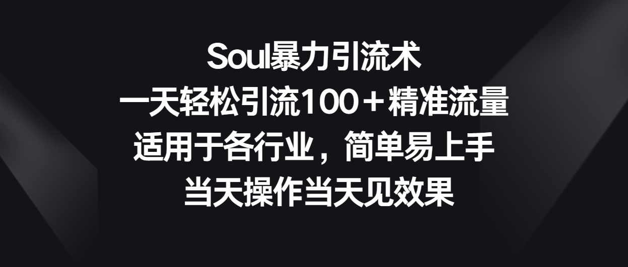 Soul暴力引流术，一天轻松引流100＋精准流量，适用于各行业，简单易上手！-副业城