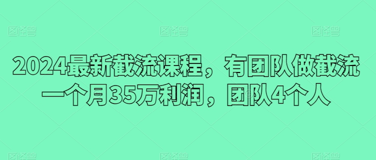 2024最新截流课程，有团队做截流一个月35万利润，团队4个人-副业城