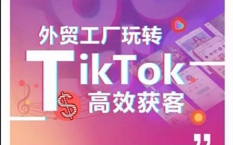 外贸工厂玩转TikTok高效获客，多种引流方式与账号定位技巧，拆解爆款短视频打造成功案例-副业城