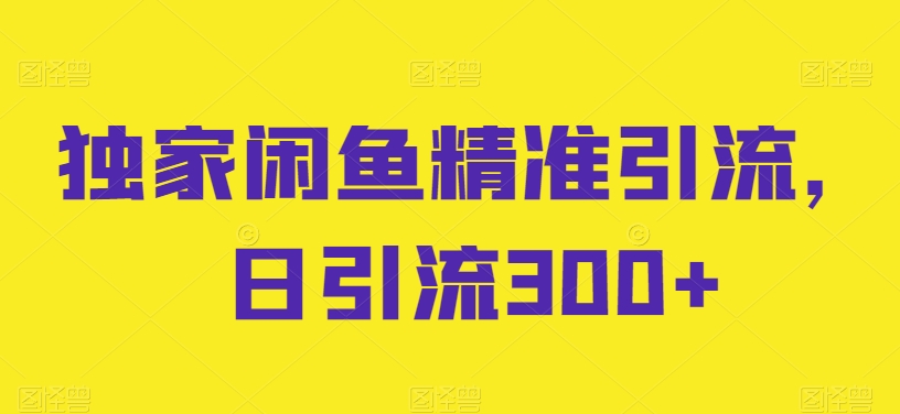 独家闲鱼精准引流，日引流300+-副业城