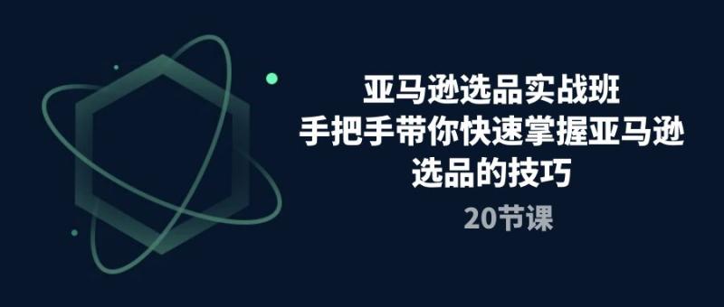 亚马逊选品实战班，手把手带你快速掌握亚马逊选品的技巧（20节课）-副业城