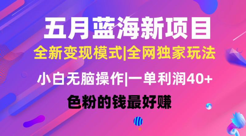 （10477期）五月蓝海项目全新玩法，小白无脑操作，一天几分钟，矩阵操作，月入4万+-副业城