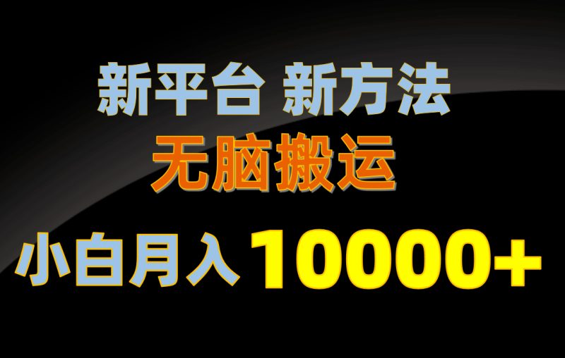 （10605期）新平台新方法，无脑搬运，月赚10000+，小白轻松上手不动脑-副业城